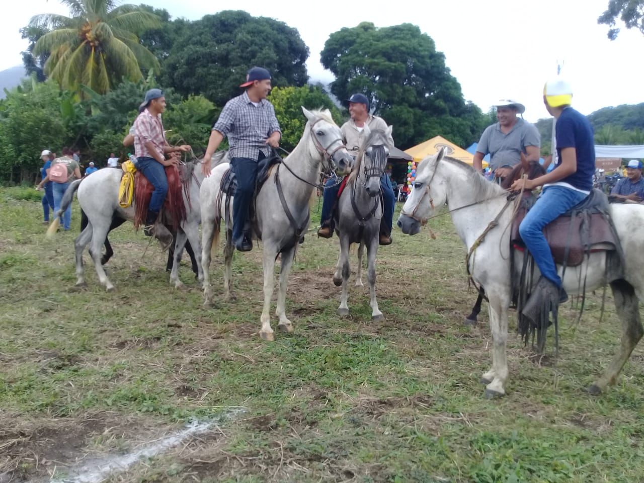 actividades